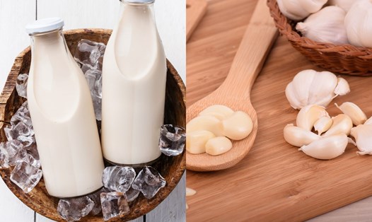 Kết hợp sữa và tỏi mang lại nhiều lợi ích cho sức khỏe. Đồ họa: Doãn Hằng