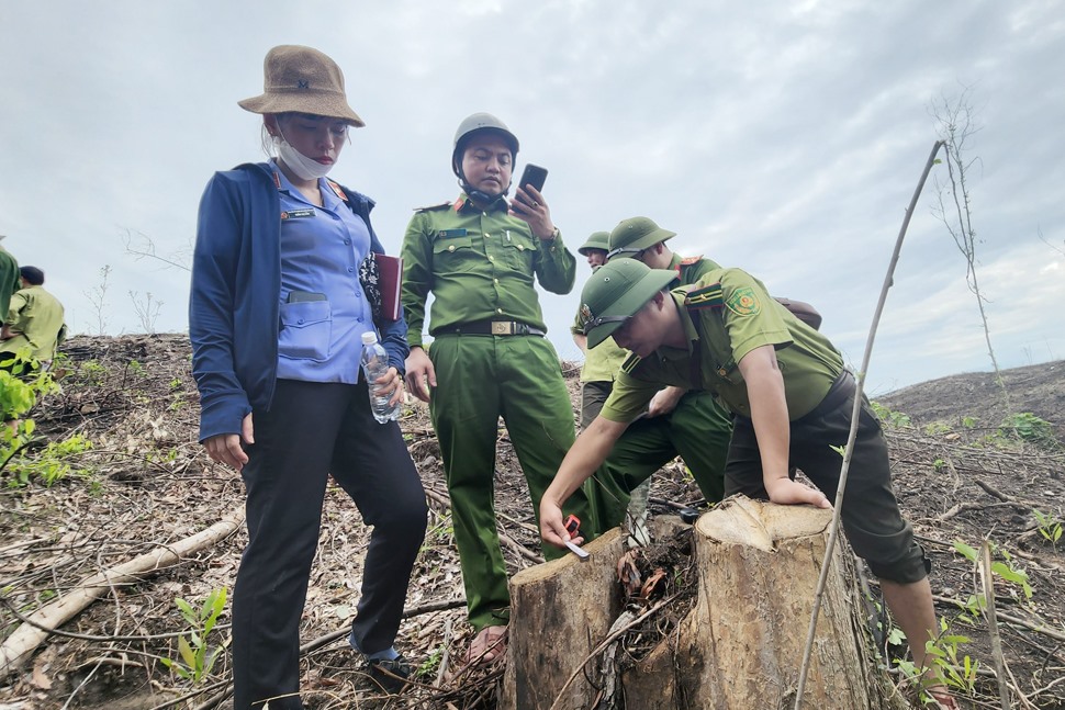 Đình chỉ công tác Trưởng phòng quản lý rừng vì phá rừng