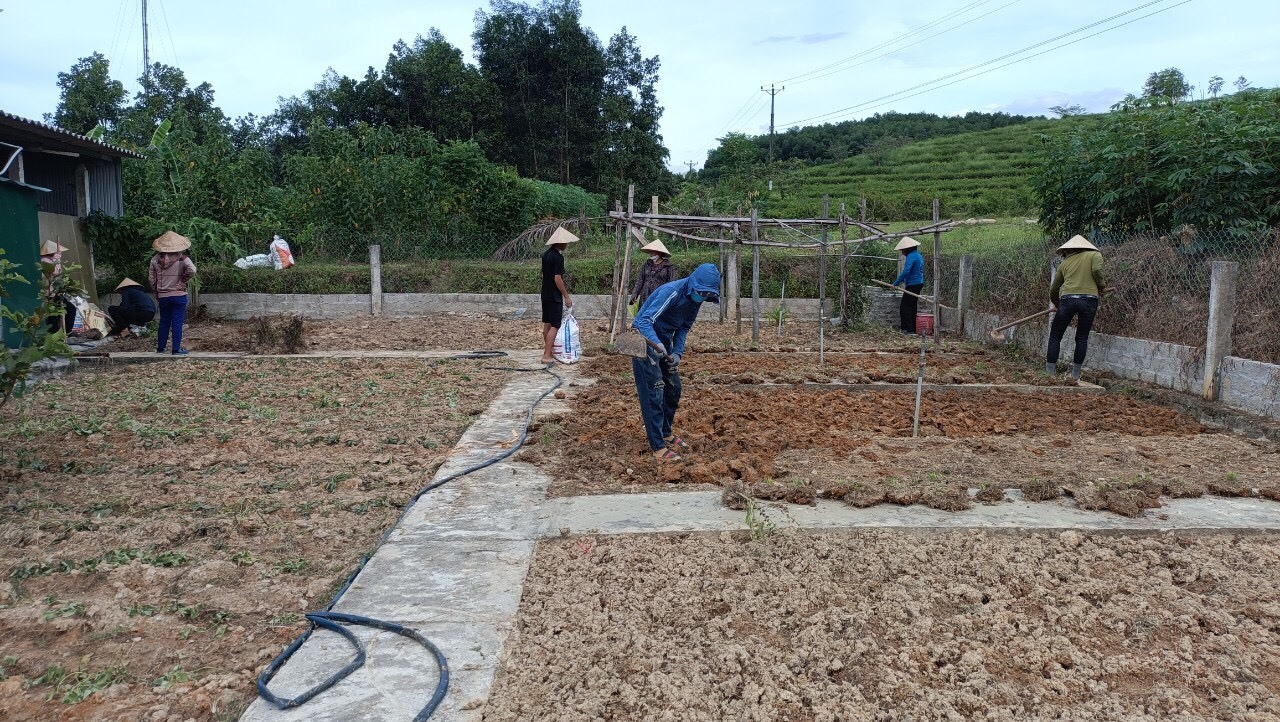 Kỹ sư IT bỏ phố về quê, khởi nghiệp bằng mô hình trồng rau hộ