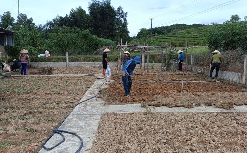 Kỹ sư IT bỏ phố về quê, khởi nghiệp bằng mô hình trồng rau hộ