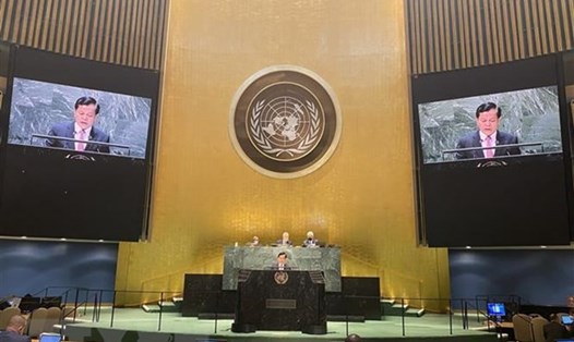 Thứ trưởng Bộ Ngoại giao Hà Kim Ngọc phát biểu tại Hội nghị lần thứ 10 kiểm điểm Hiệp ước Không phổ biến hạt nhân (NPT). Ảnh: TTXVN