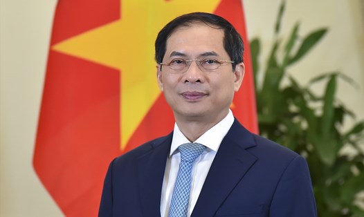 Ủy viên Trung ương Đảng, Bộ trưởng Ngoại giao Bùi Thanh Sơn. Ảnh: Bộ Ngoại giao