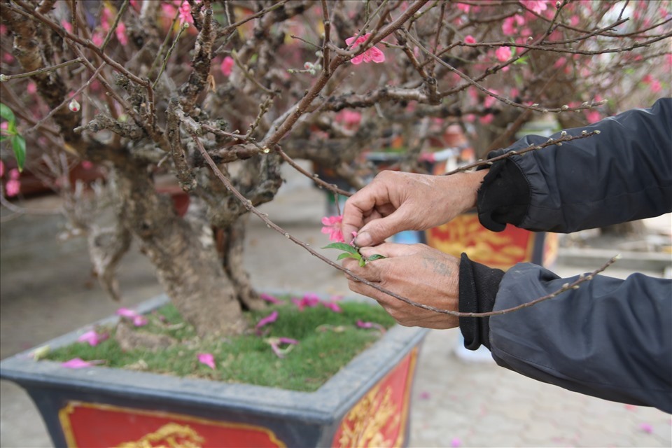 Tết Nguyên đán Quý Mão có thể kéo dài đến 9 ngày.