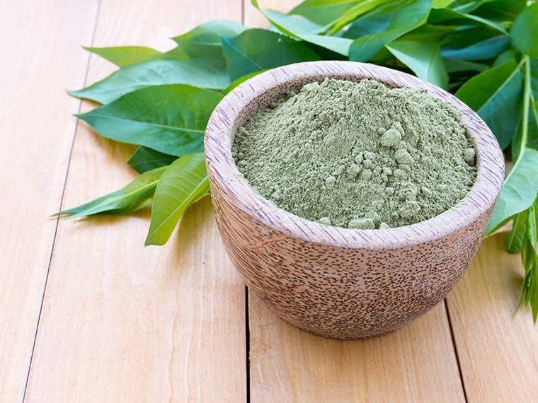 Hãy thử ngay mặt nạ dưỡng tóc bằng lá ngón tại nhà để có được một mái tóc suôn mượt. Ảnh: Femina.in