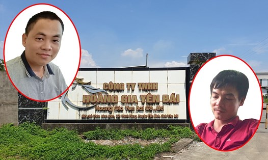 Công ty TNHH Hoàng Gia Yên Bái có 2 cổ đông chính gồm ông Nguyễn Trọng Sơn (trái) và Ngô Quang Tùng (phải).