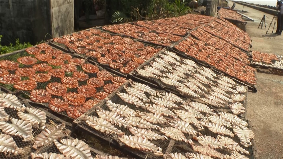 Kho - Ganh - Hao - Bac - Lieu