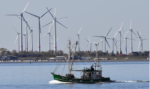 Các tuabin gió giữa đảo Langeoog và Bensersiel tại bờ biển Biển Bắc ở Đức. Ảnh: Martin Meissner