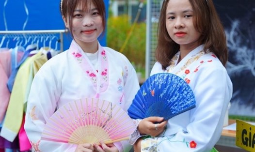 Đà Nẵng tổ chức lễ hội Việt Nam – Hàn Quốc. Ảnh minh hoạ: Hoài Thu