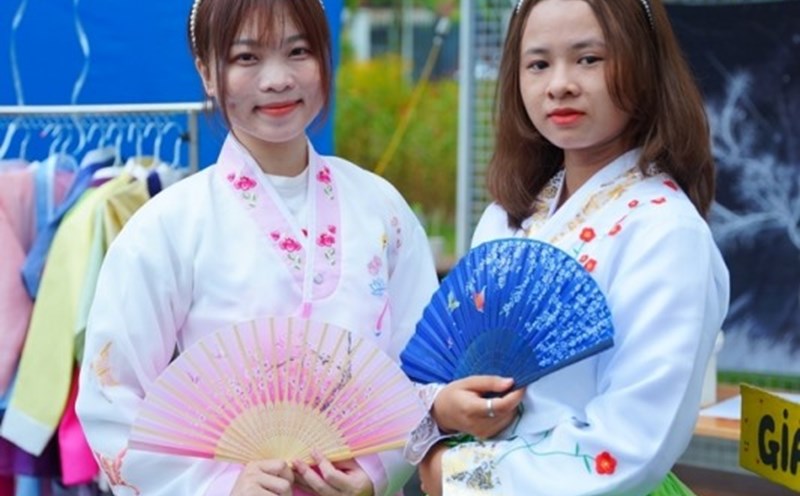 Đà Nẵng tổ chức lễ hội Việt Nam – Hàn Quốc. Ảnh minh hoạ: Hoài Thu