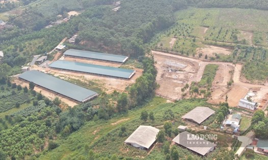 Nhiều diện tích đất rừng sản xuất tại xã Lam Sơn đã bị san gạt, cải tạo mặt bằng và xây dựng các công trình trái phép phục vụ mục đích làm trang trại.