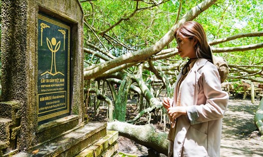 Năm 2013, Hội Bảo vệ thiên nhiên và môi trường Việt Nam công nhận Giàn Gừa là Cây di sản Việt Nam.