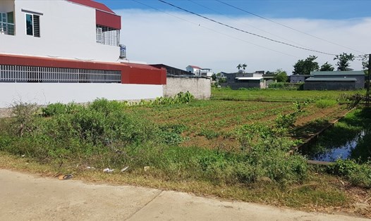 Những thửa đất được người dân bỏ tiền mua của UBND xã Yên Quang, huyện Nho Quan, Ninh Bình nhưng đến nay đã hơn 10 năm trôi qua vẫn chưa được cấp sổ đỏ. Ảnh: NT
