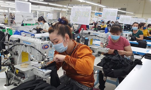 Theo giải thích của Ban quản lý các khu công nghiệp tỉnh Bạc Liêu, do hầu hết công nhân ở gần nhà máy nên rất ít người ở trọ. Ảnh: Nhật Hồ