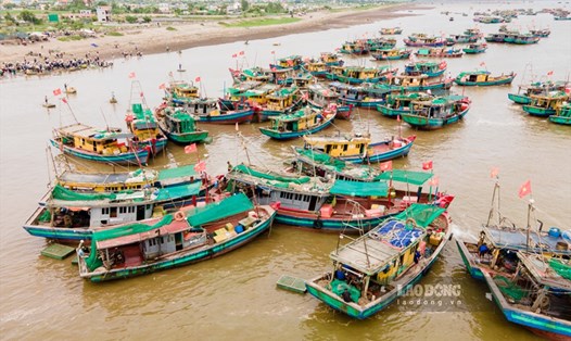 Bến cá Giao Hải (Giao Thủy, Nam Định) tấp nập buổi chợ chiều. Ảnh: Vũ Mừng