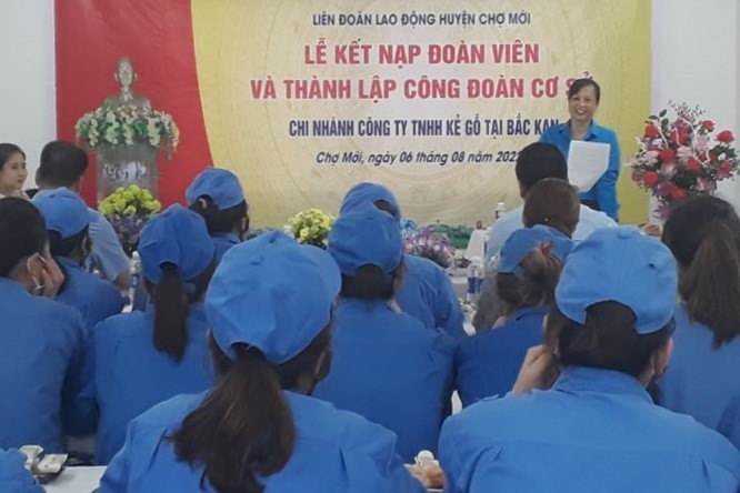 Hàng chục công nhân, lao động tham gia buổi lễ thành lập công đoàn trong không khí vui tươi, hân hoan. Ảnh: Thu Hiền.