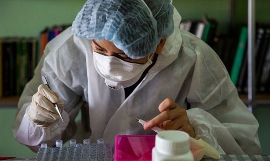Trung Quốc phát hiện henipavirus mới có vẻ như lây lan từ động vật sang người. Ảnh: Getty