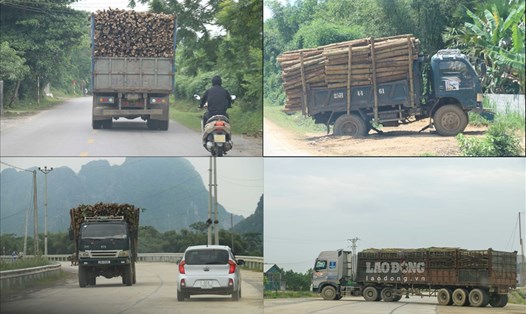 Những chiếc xe chỗ gỗ keo vô tư hoạt động trên nhiều tuyến đường ở tỉnh Hòa Bình.