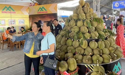 Nhiều du khách ở nhiều tỉnh thành trong cả nước đã kéo về huyện Krông Pắk để tham quan, vui chơi lễ hội sầu riêng.