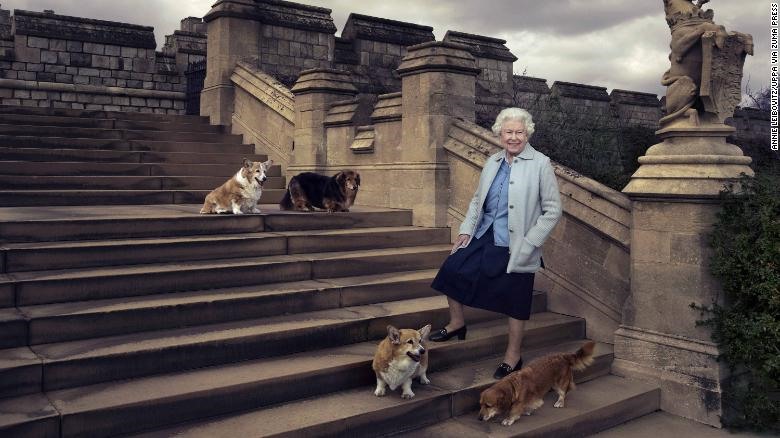 Những con chó cưng của Nữ hoàng Anh ra sao sau khi bà qua đời?