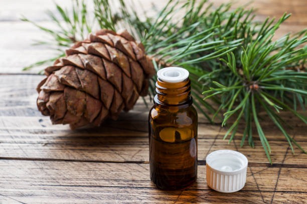 Istockphoto-10644472.jpg (612×408)