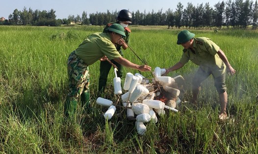 Lực lượng chức năng huyện Nghi Xuân thu gom, tiêu hủy chim cò giả dùng để bẫy chim trời. Ảnh: TT.