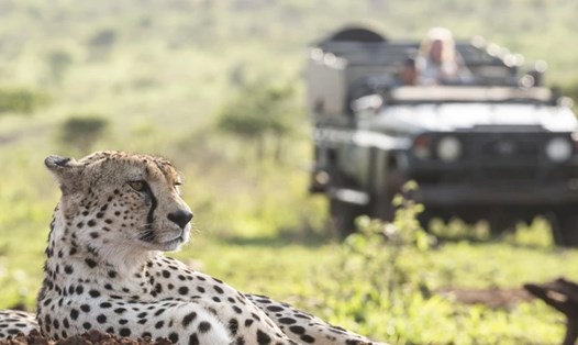 Biến đổi khí hậu trở thành mối đe dọa lớn nhất đối với động vật hoang dã của Châu Phi. Ảnh: Global Look Press