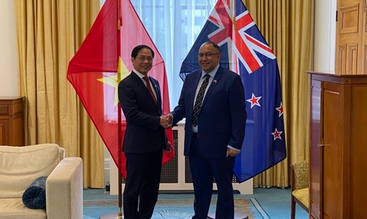 Bộ trưởng Ngoại giao Bùi Thanh Sơn chào xã giao Chủ tịch Quốc hội New Zealand Adrian Rurawhe. Ảnh: BNG