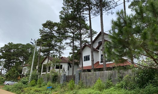 Một góc thị trấn Măng Đen, nơi có nhiều biệt thự ẩn khuất dưới rừng thông xanh. Ảnh T.T