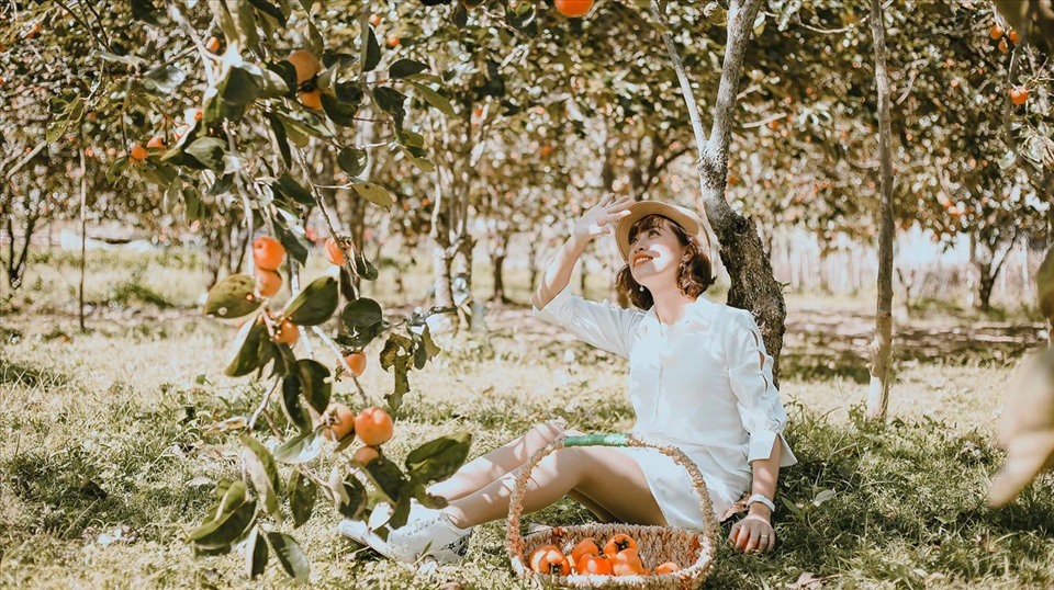 Du khách tham quan vườn hồng. Ảnh: LDO.