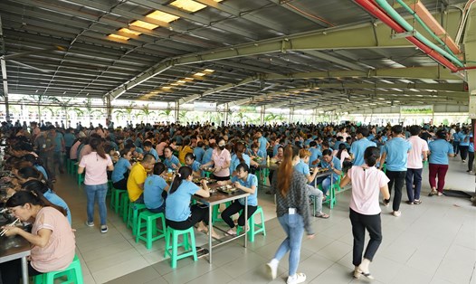 Tại Công ty TNHH Elite Long Thành (Khu công nghiệp Lộc An - Bình Sơn, huyện Long Thành): Giá trị bữa ăn giữa ca cho người lao động của công ty là 1 USD/1 suất, tương đương khoảng 23.500 đồng/suất. Ảnh: N.Q.H