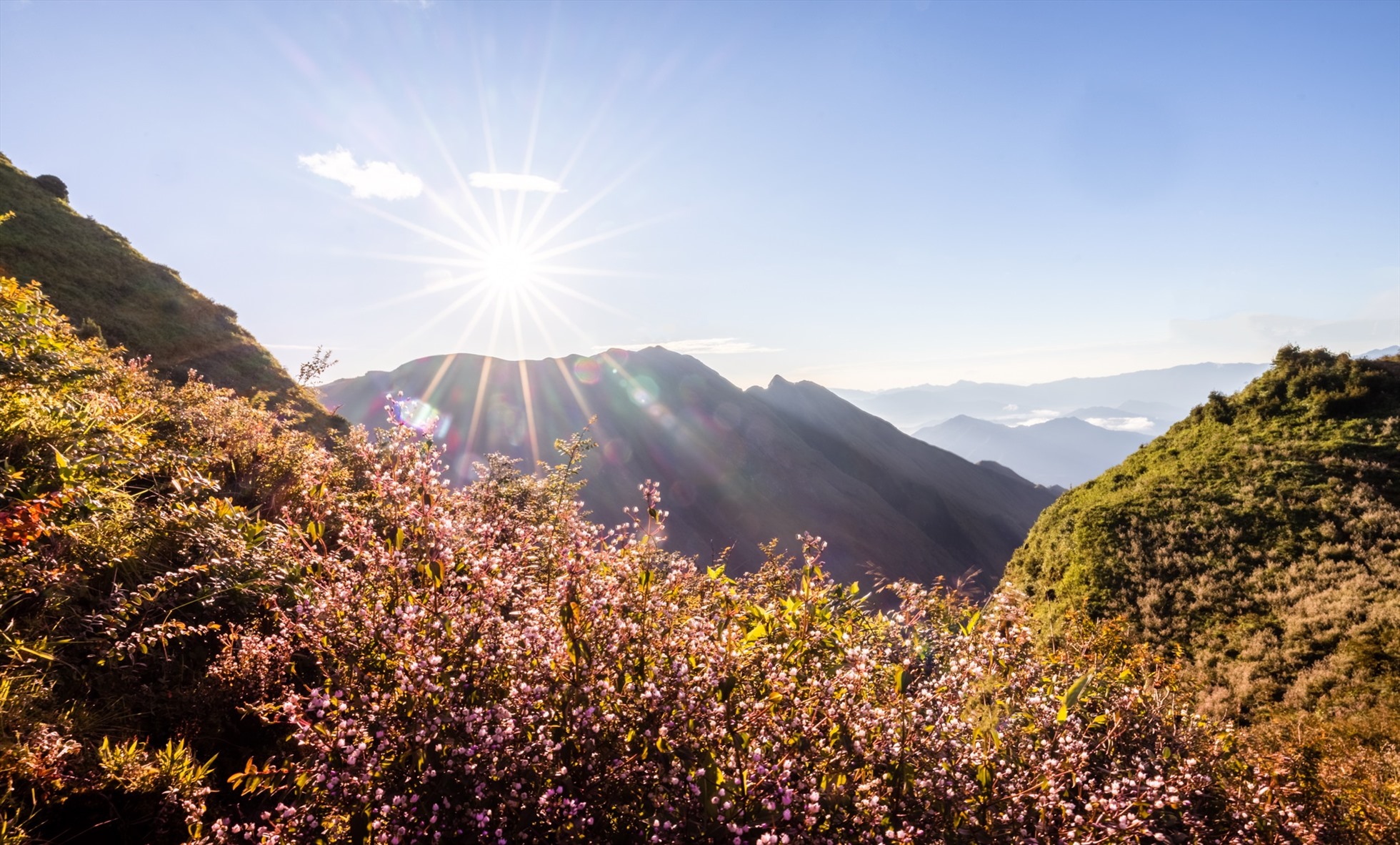 Ảnh: Nguyễn Anh Chiêm