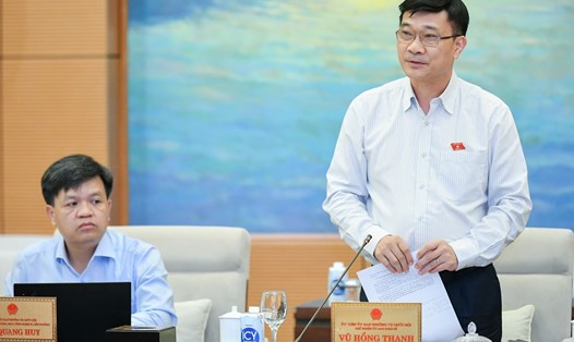 Chủ nhiệm Ủy ban Kinh tế Vũ Hồng Thanh phát biểu ý kiến. Ảnh: PV