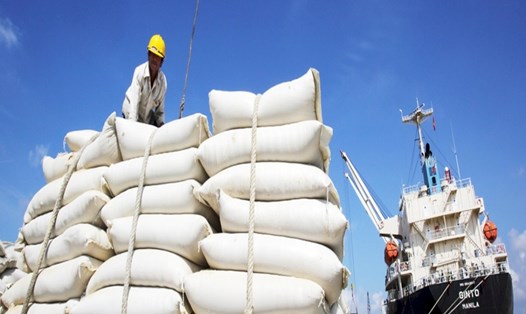 Xuất khẩu gạo của Việt Nam. Ảnh: TTXVN