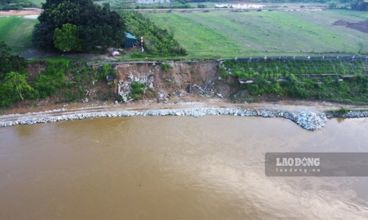 Gần 500m bờ kè sông Lô qua TP. Tuyên Quang bị sạt lở nghiêm trọng trong khi việc thi công khắc phục được cho là rất ì ạch.