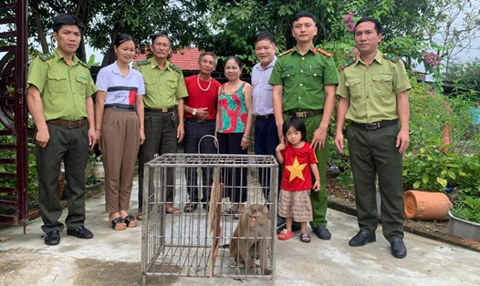 Gia đình ông Phương ở xã Kỳ Tân giao nộp cá thể khỉ đuôi lợn cho lực lượng kiểm lâm. Ảnh: CA.