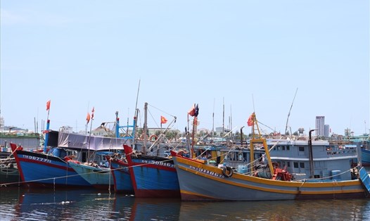 Đà Nẵng kêu gọi tàu thuyền khẩn trương vào bờ trú bão Noru.