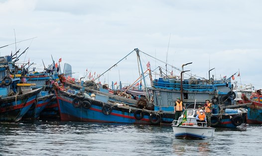 Bộ đội biên phòng Đà Nẵng hướng dẫn ngư dân neo đậu an toàn ở âu thuyền Thọ Quang sáng 25.9, để ứng phó với bão Noru.