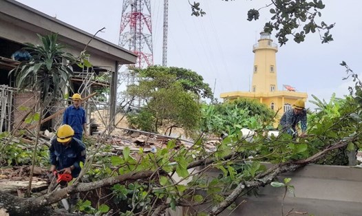 Quân và dân trên đảo Cồn Cỏ cưa cắt cây xanh để hạn chế thấp nhất thiệt hại nếu bão Noru đổ bộ. Ảnh: CC.