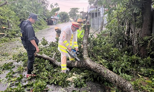 CSGT Quảng Ngãi dọn cây xanh bị đổ sau khi bão số 4 đi qua. Ảnh: Cục CSGT