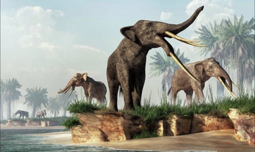 Loài voi Gomphothere đã tuyệt chủng ở miền nam Chile từ hàng nghìn năm trước. Ảnh chụp màn hình