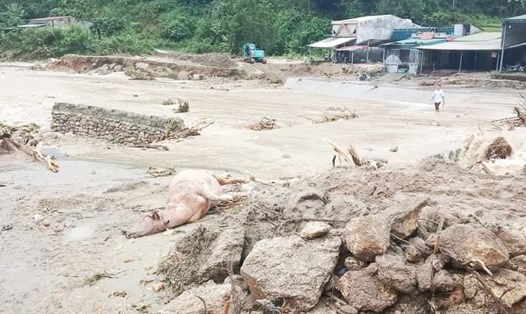 Nhiều tài sản và hoa màu của người dân tại Hà Giang đã bị lũ cuốn trôi trong đợt mưa lớn từ 15-18.9.