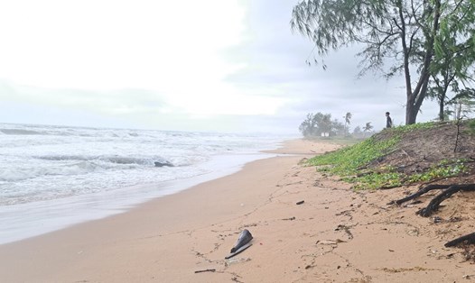 Hiện đã phát hiện tổng cộng 7 thi thể trôi dạt vào bờ biển Phú Quốc. Ảnh: NDCC