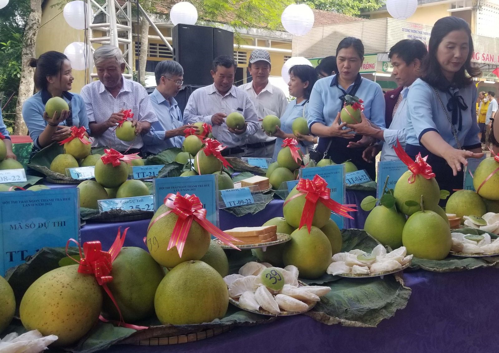 Các sản phẩm dự thi.