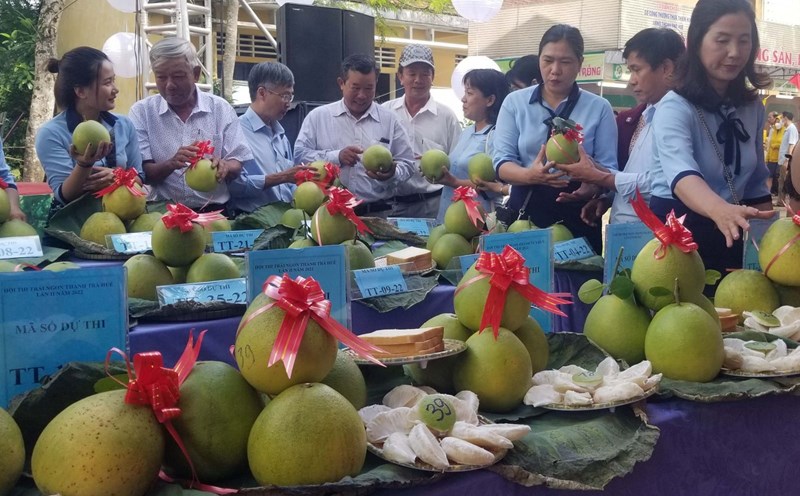 Các sản phẩm dự thi.