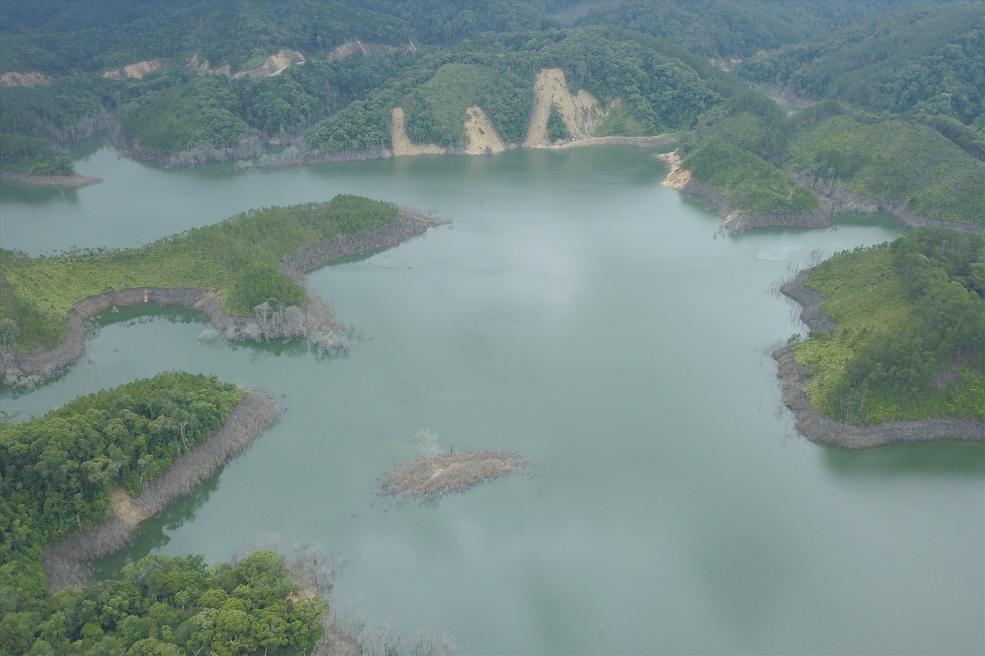 Khởi tố vụ án Huỷ hoại rừng do thuỷ điện Thượng Kon Tum tích nước