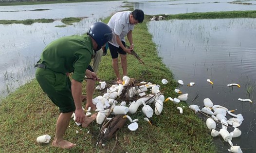 Công an huyện Cẩm Xuyên tiêu hủy chim cò giả để bẫy chim trời. Ảnh: CA.