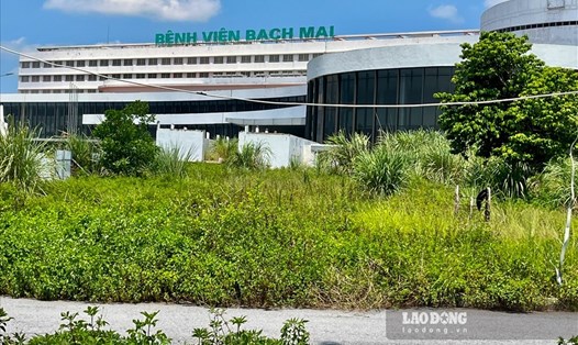 Bệnh viện Bạch Mai cơ sở 2 bỏ hoang, cỏ mọc um tùm. Ảnh: Thiều Trang