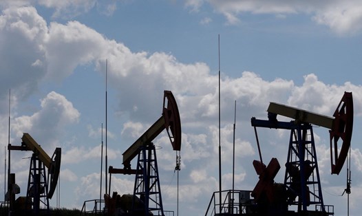 Trong tuần qua, giá dầu đã lao dốc mạnh.  Ảnh: Reuters.