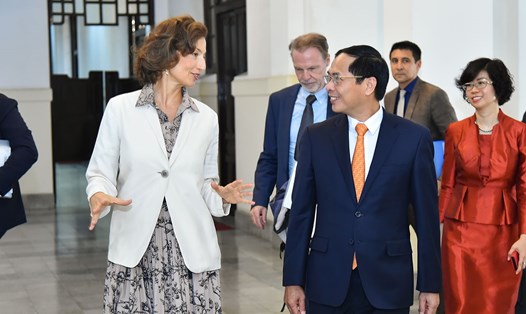 Bộ trưởng Ngoại giao Bùi Thanh Sơn tiếp Tổng Giám đốc UNESCO Audrey Azoulay. Ảnh: Bộ Ngoại giao