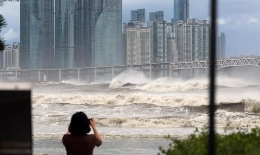 Hình ảnh khi bão Hinnamnor quét qua thành phố cảng Busan của Hàn Quốc ngày 6.9. Ảnh chụp màn hình